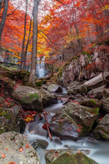 Dardagna waterfalls
  Group of waterfalls accessible by footpath through a beech forest, known for its colorful autumn foliage.