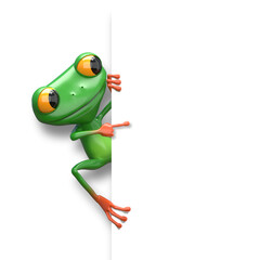3D Illustration Green Frog with White Background