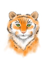 Drawing of a small tiger, portrait, poster for a children's room, for printing on cards and fabrics, the year of the tiger