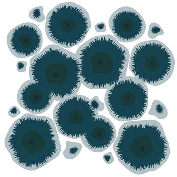 Black Mold Growth On Wet House Wall. Mildew Fungal Spores Under The Microscope. Vector Illustration