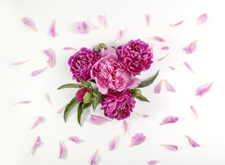 Bouquet of pink peonies