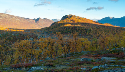 Beautiful, vivid autumn colors in remote arctic landscape. Wild nature of Stora Sjofallet national park, Sweden. Remote wilderness on sunny autumn day. Yellow and orange colors in nature.