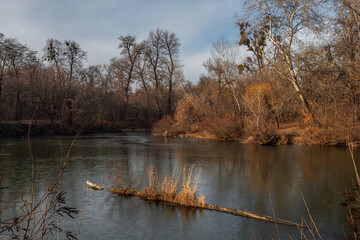 Late fall. Trees that have thrown off their leaves are reflected in the waters of the river.