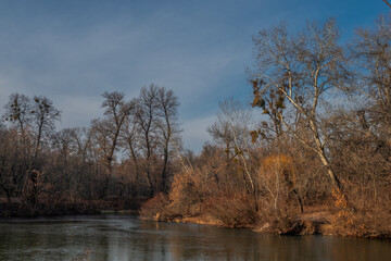 Late fall. Trees that have thrown off their leaves are reflected in the waters of the river.