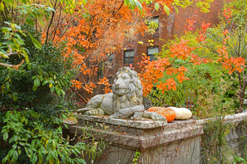 Antique sculpture of lion in old autumn park on bright sunny day. New York City