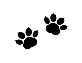 A pair of traces from the paws (imprint) of a wild animal. 