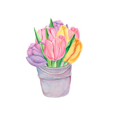 Spring watercolor illustration. Bouquet of tulips.Cute watercolor design with handdrawn tulips. Idea for logo,banner, card, wrapping paper, backdrop, background, gift, invitation.Yellow and rose tulip