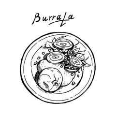 Vector illustration, food, burrata cheese isolated on white background.