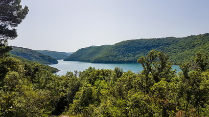 A sneak peak on a coastal line of Croatian fjord. A view on the fjord through the crown of the...