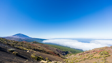 Fototapeta premium Teide Volcano in Teide National Park of Tenerife, Canary Islands