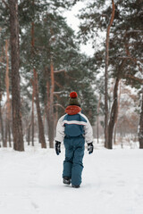 Boy in winter jumpsuit walks in woods in snow. Back view. Winter holidays in spruce forest.
