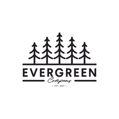Vintage pine tree evergreen logo with lineart style design template