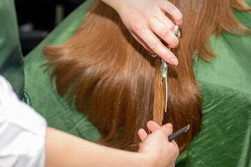 Hands of hairdresser cut woman long hair, close up