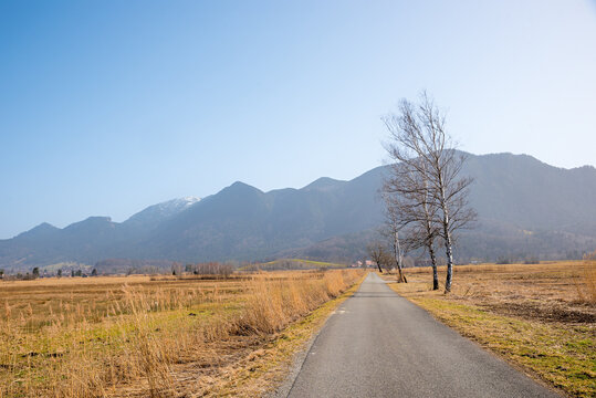 road through the moorlands Ohlstadt with view to Heimgarten mountain