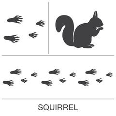 Squirrel silhouette and prints of the hind and fore paws. Vector illustration on a white background.
