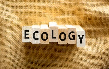 Ecology symbol. The concept word Ecology on wooden blocks. Beautiful canvas background, copy space. Business, ecological and ecology concept.
