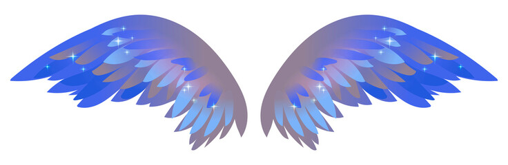Beautiful magic glittery blue grey angelic wings, color vector illustration