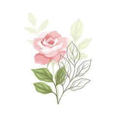 Showy Rose Flower on Leafy Stem as Garden Flora Closeup Vector Illustration