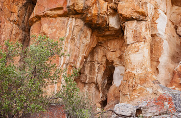 Cederberg Mountain Wilderness Area Scene 12980