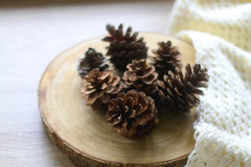 Wooden tray with pine cones and soft knitted blanket. Hygge at home. Selective focus.