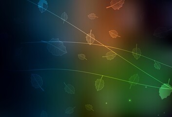 Dark Green, Red vector elegant pattern with trees, branches.