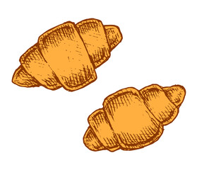 Baking bagels on a white plate. Wheat flour confectionery. Delicious healthy food. Bakery design element. Vector isolated hand drawn illustration