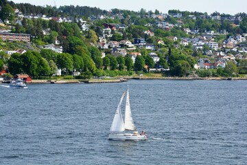 sailboat on the river