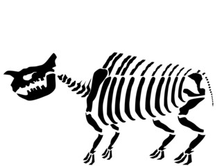 Atomical Rhino Skeleton HD Vector Illustration