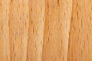 macro texture of yellow wood