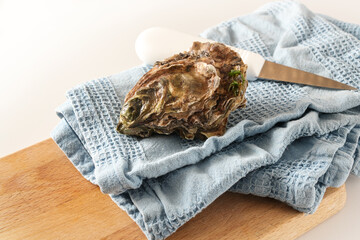 Fresh pacific oyster and a knife on a blue kitchen towel ready to open, copy space, selected focus