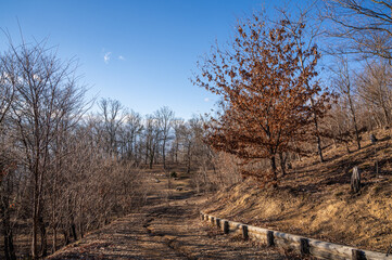 冬のアルプス公園