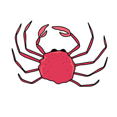  Vector children's design ,for a postcard banner sticker.Marine animal