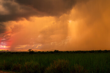 Arizona grassland with dramatic monsoon sky at sunset
