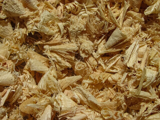 Texture of wood shavings close-up in the whole frame. Shavings background