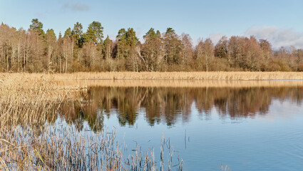 Scenic calm lake with mirrored water surface, surrounded by dry reed grass and forest on sunny day.