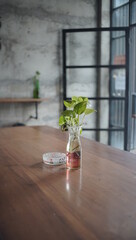green vines growth in jar filled with water. simple plant decoration on the wooden table to decorate your room.  minimalist decoration for inspo.