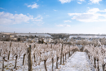 Fototapeta na wymiar Rural village in the middle of the snow-covered vineyards. Sunny white winter landscape with vineyards, houses in the valley