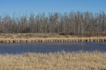 Pylypow Wetlands on a Late Autumn Day