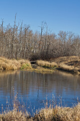 Pylypow Wetlands on a Late Autumn Day