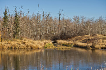 Fototapeta na wymiar Pylypow Wetlands on a Late Autumn Day