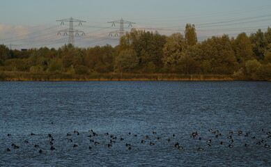 amsterdam city industry windmill in the netherlands
