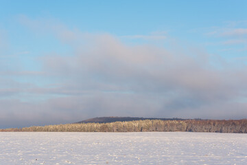 Winter field under snow and trees, early morning, landscape.