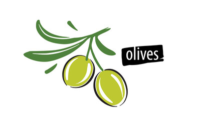 Drawn vector olives on a white background