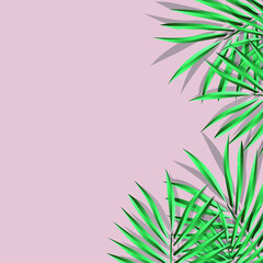 green palm leaf vector for background. Tropical palm frond frame. Summer tropical leaves. summer greeting cards