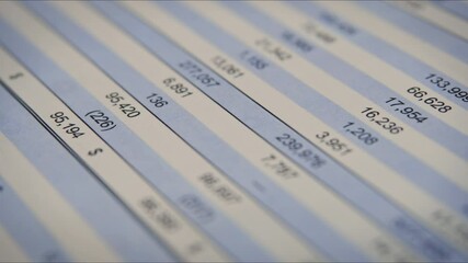 Balance sheet of financial statement, analysis of business plan for stockholders. Investment portfolio of stock