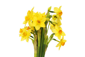 Bunch of narcissus flowers