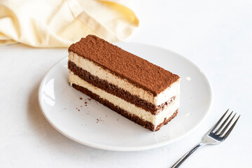 Tiramisu dessert on a white background. Italian sweet dessert concept. Plate of tiramisu cake. close up. selective focus. Horizontal view.