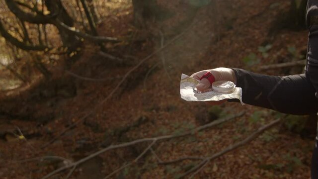 Human hand holding orienteering map and compass in sunny autumn forest. Camera moves down.