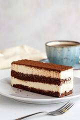 Tiramisu dessert on a white background. Italian sweet dessert concept. Plate of tiramisu cake. close up. selective focus. Vertical view. Story format