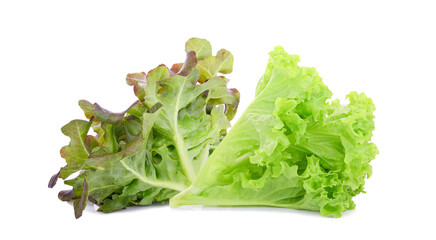Red green lettuce isolated on white background